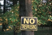 council contact phone numbers