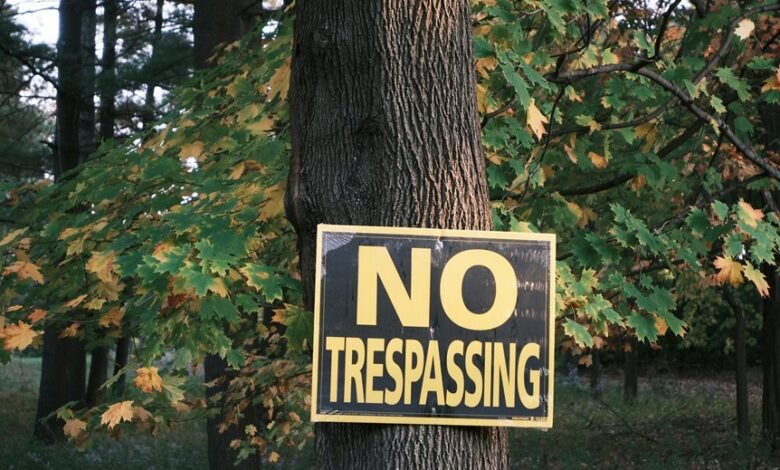 council contact phone numbers