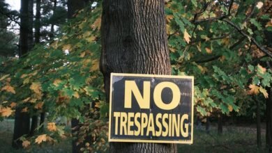 council for data protection