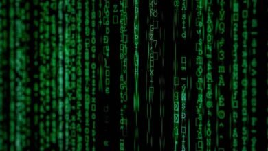 next gen vector analysis data