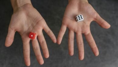 opportunity trajectory analysis report