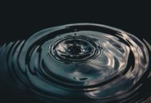 strategic analysis of transactions