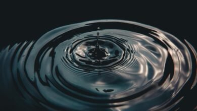 strategic analysis of transactions