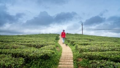 velocity horizon with numbers