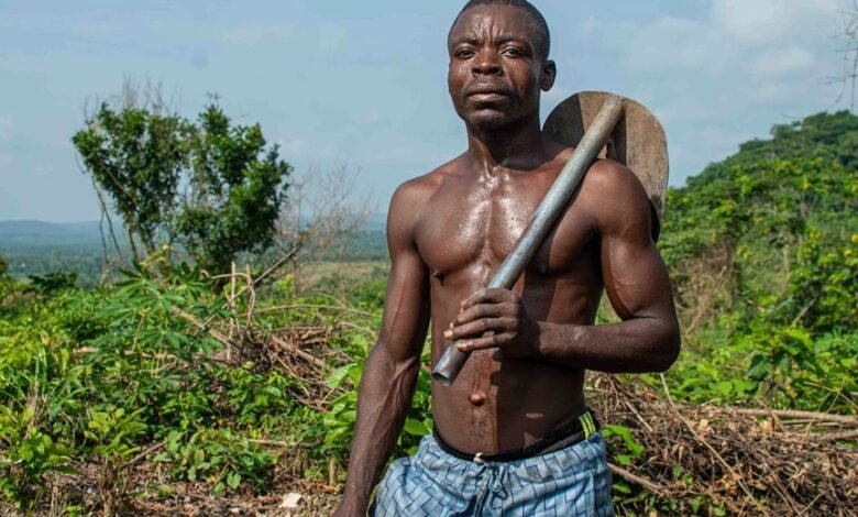 enhance growth with digital tools